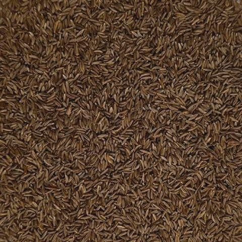 Alcarávia em grão 50g