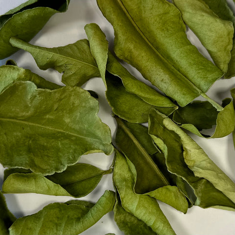 Folha de Bergamota 10g