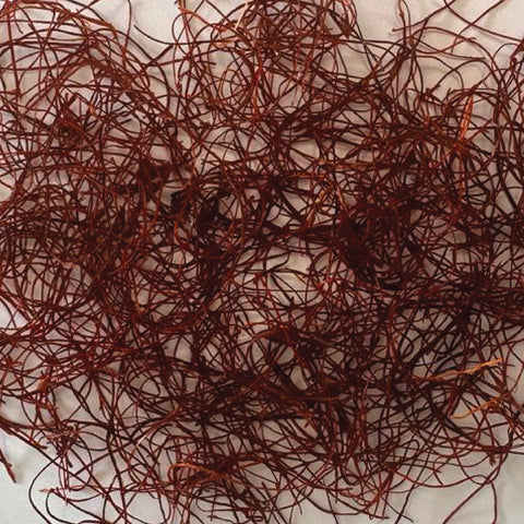 Filamentos Guindilla - Ito Tougarashi 15g