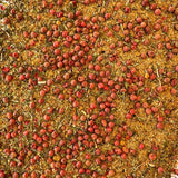 Tempero para Pato 50g