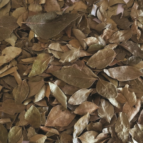 Folhas de Caril 10g