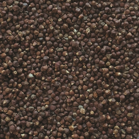 Pimenta do paraiso em grão 50g