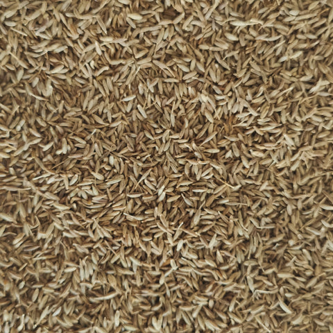 Cominhos em grão 50g