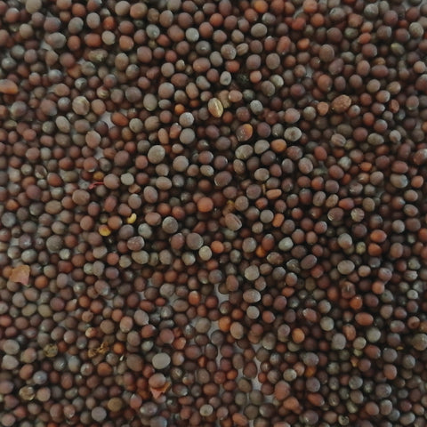 Mostarda Marron em grão 100g