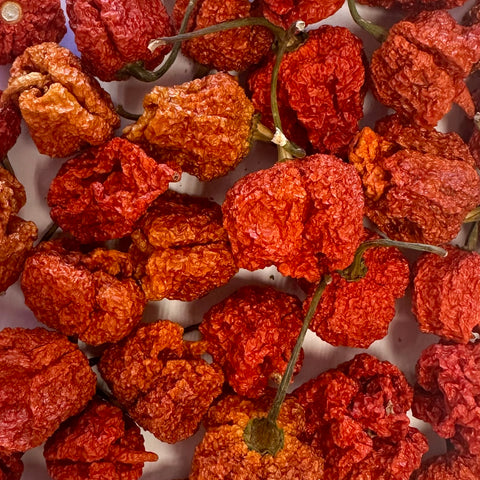 Carolina Reaper 1 unidade