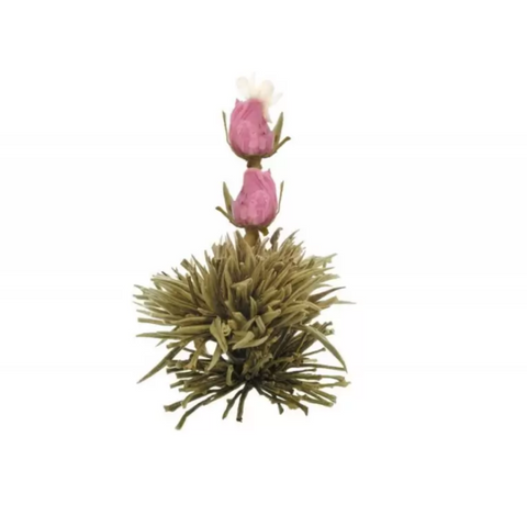 Flor de Chá Rosa Purpura 1uni