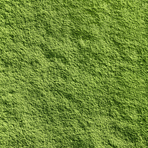 Matcha 100g